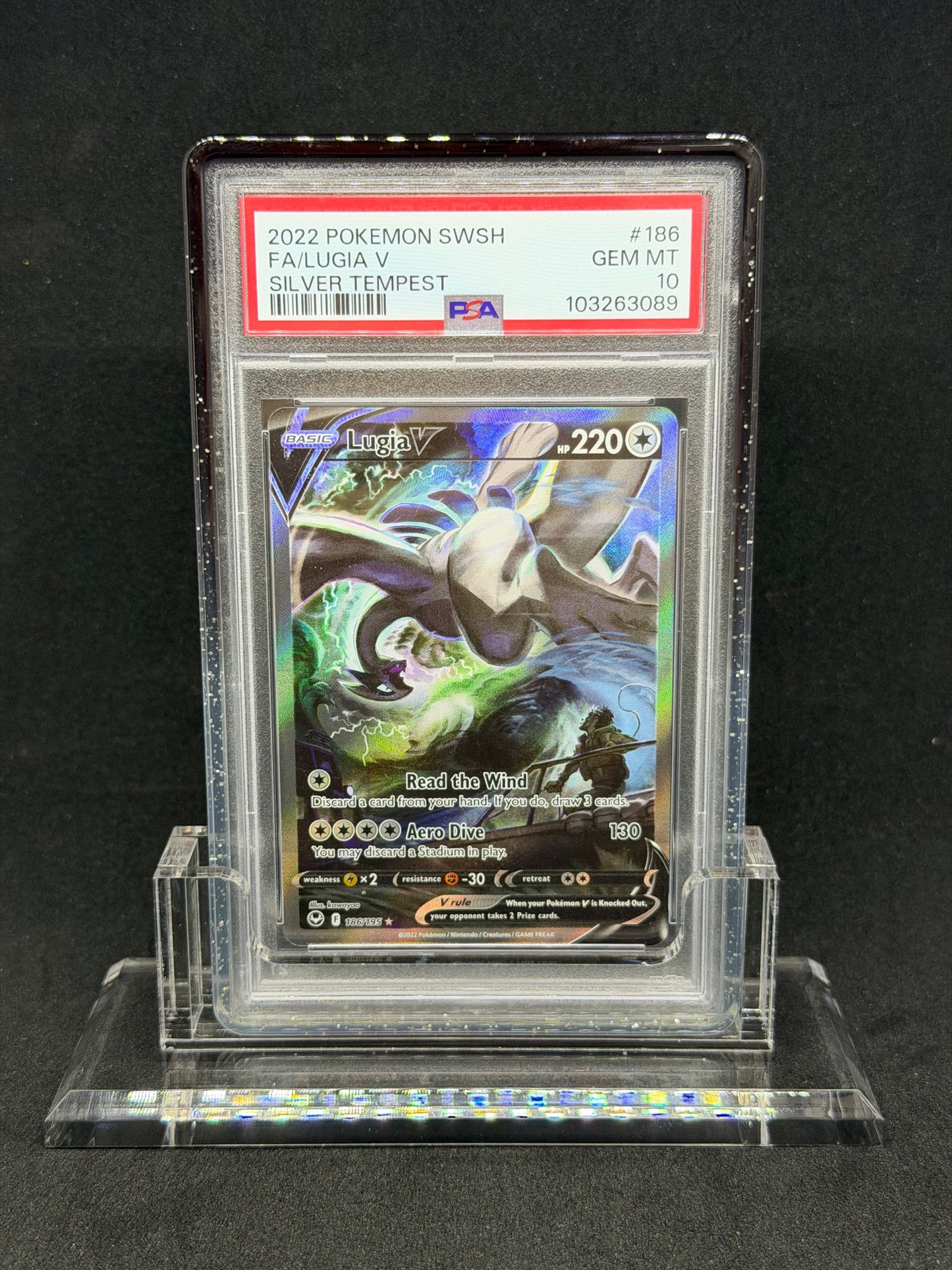 Slab Guards - Colored Acrylic